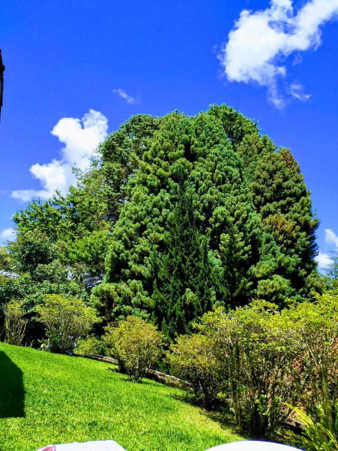 Quinta Das Flores Hospedaria Campos do Jordão エクステリア 写真