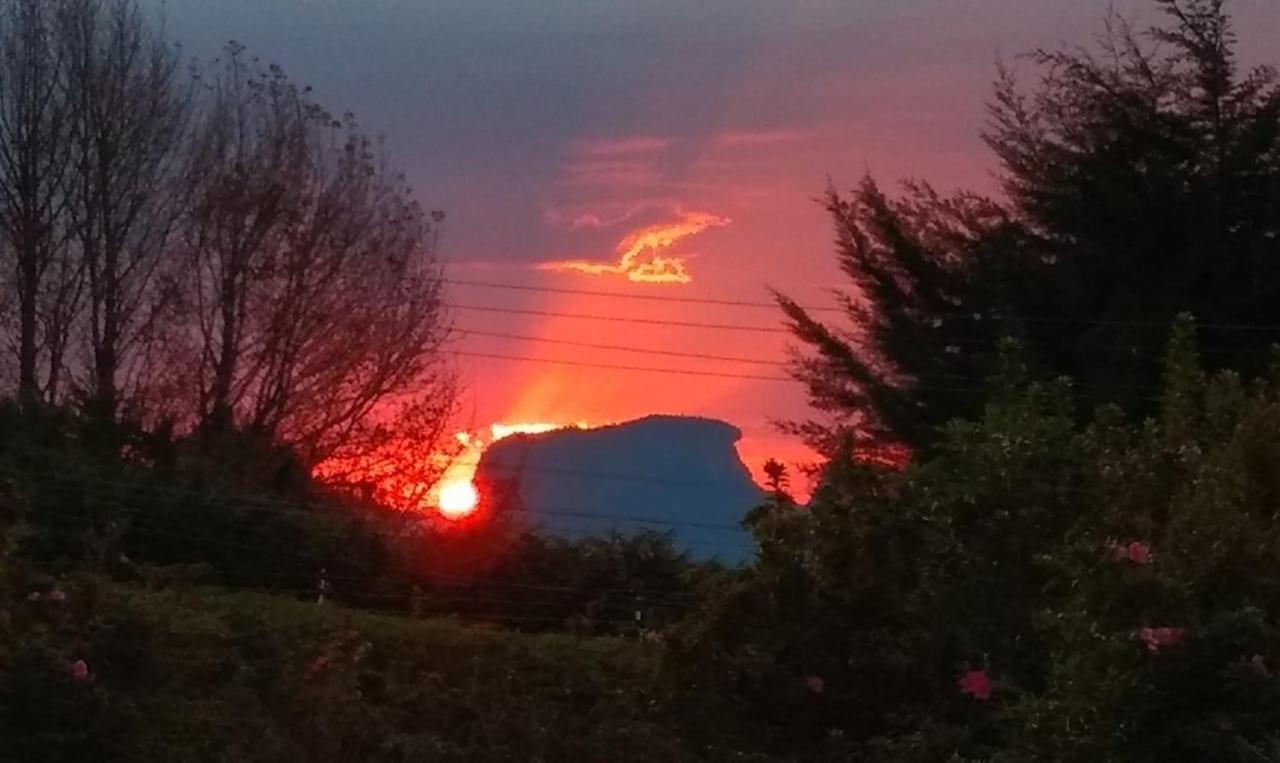 Quinta Das Flores Hospedaria Campos do Jordão エクステリア 写真
